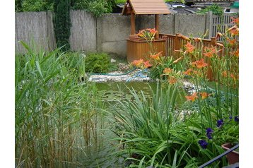 Hungary Privát Sárvár, Exterior